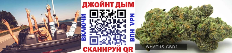 Бошки Шишки планчик Асино